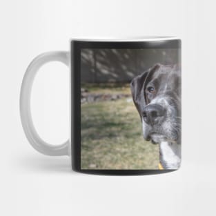 Good Boy Mug